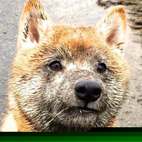 fb体育平台-车手专访：比赛中的关键时刻，著名汽车赛事车手