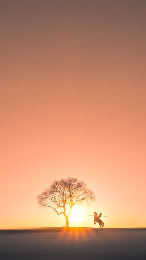 fb体育娱乐-日本马术协会引入智能马鞍系统，实现实时数据监测与分析，提升骑乘体验。