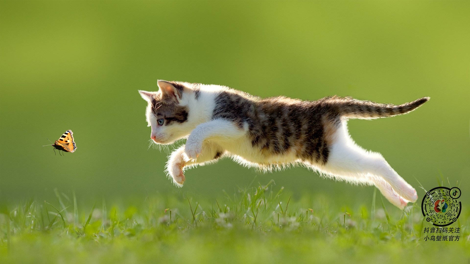 fb体育试玩-欧洲冠军联赛小组赛拉开帷幕，赛程曝光，欧洲冠军联赛赛制