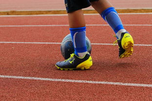 FB体育官方平台-篮球运动员心理健康支持体系构建，篮球运动员心理健康支持体系构建方案