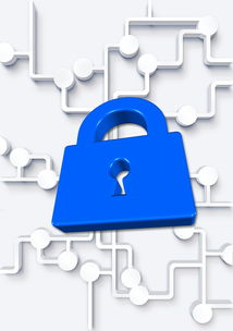 FB体育官方平台-高校体育社团管理数字化平台构建方案，全国性体育社团