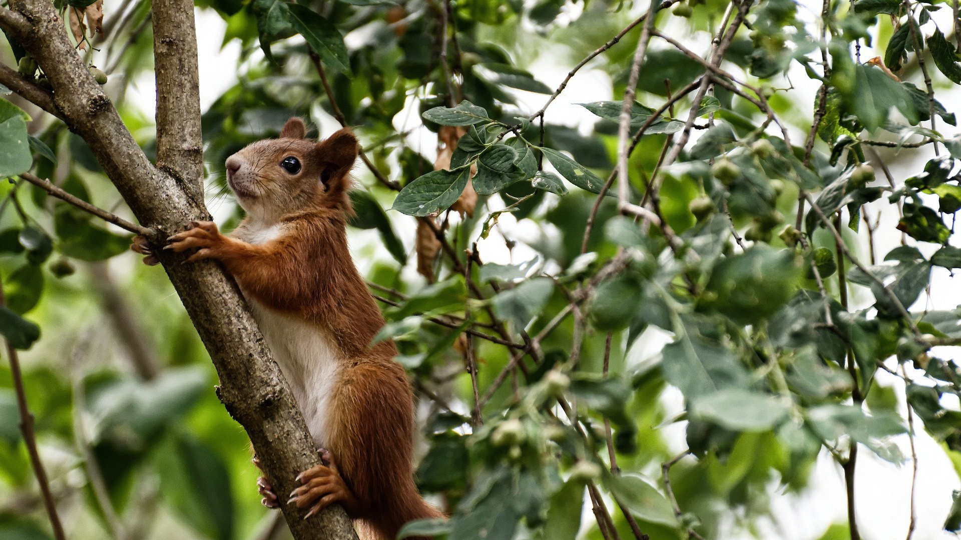 fb体育官网首页-冠军选手出发入水角度数据曝光