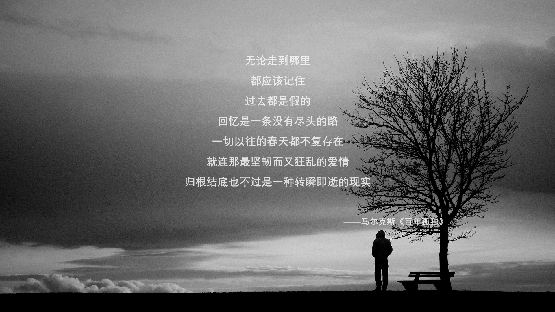 fb体育平台-美洲杯顶级对决：技术与拼搏激烈碰撞，美洲杯读秒绝杀